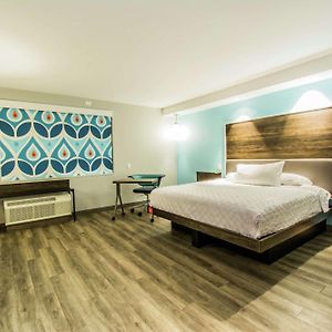King Room Mobility accessible